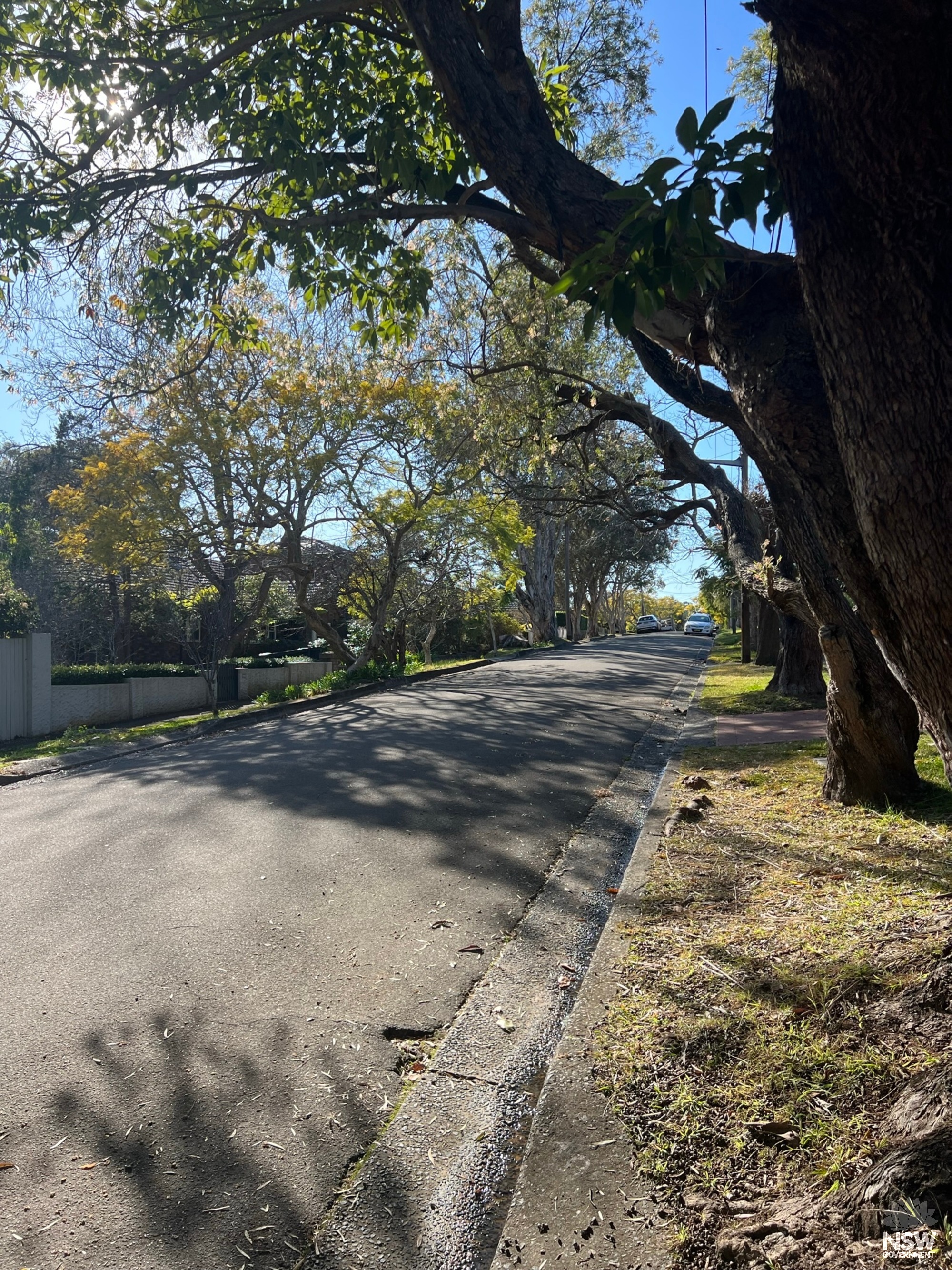 Roseville Avenue