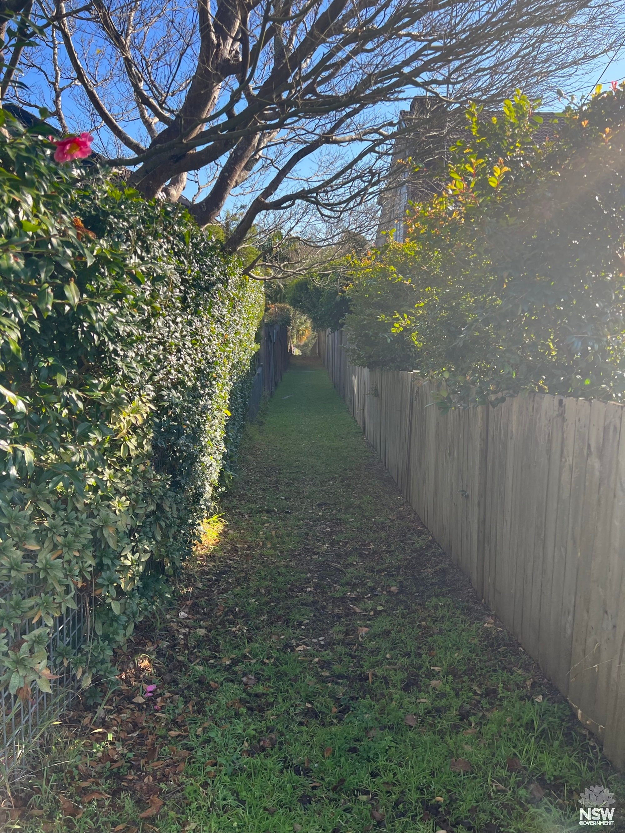 Pathway from Roseville Avenue to Amarna Parade