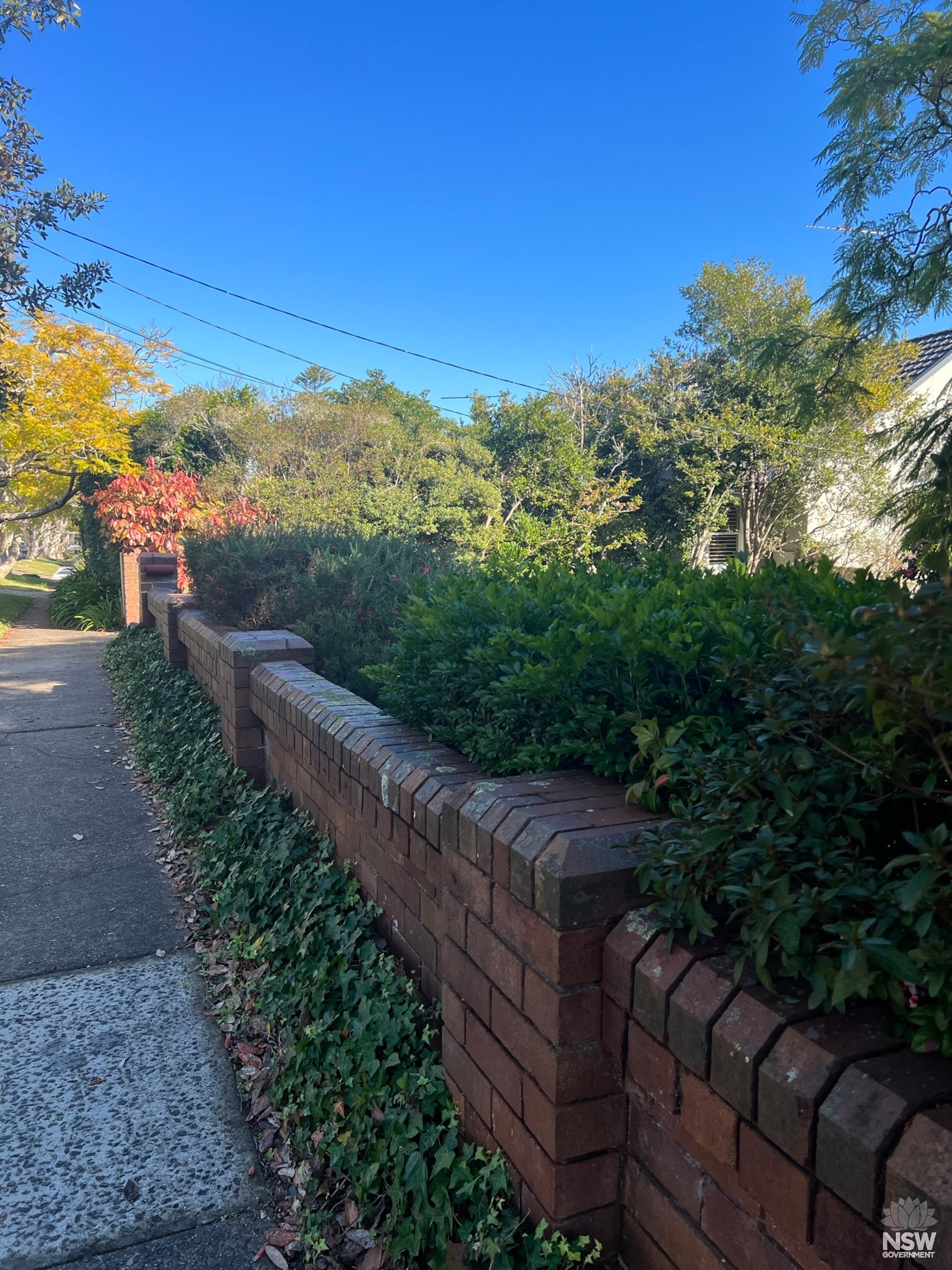 Roseville Avenue street fencing (northern side)