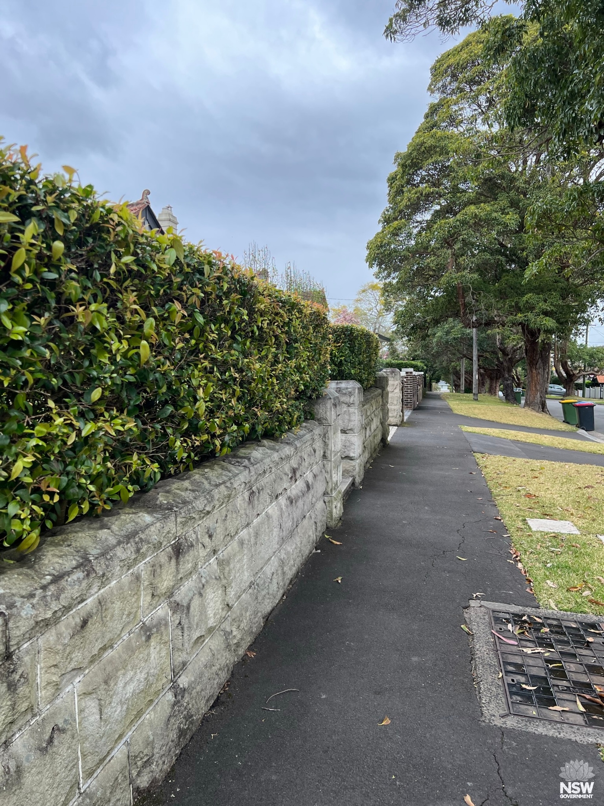 Blenheim Road street fencing