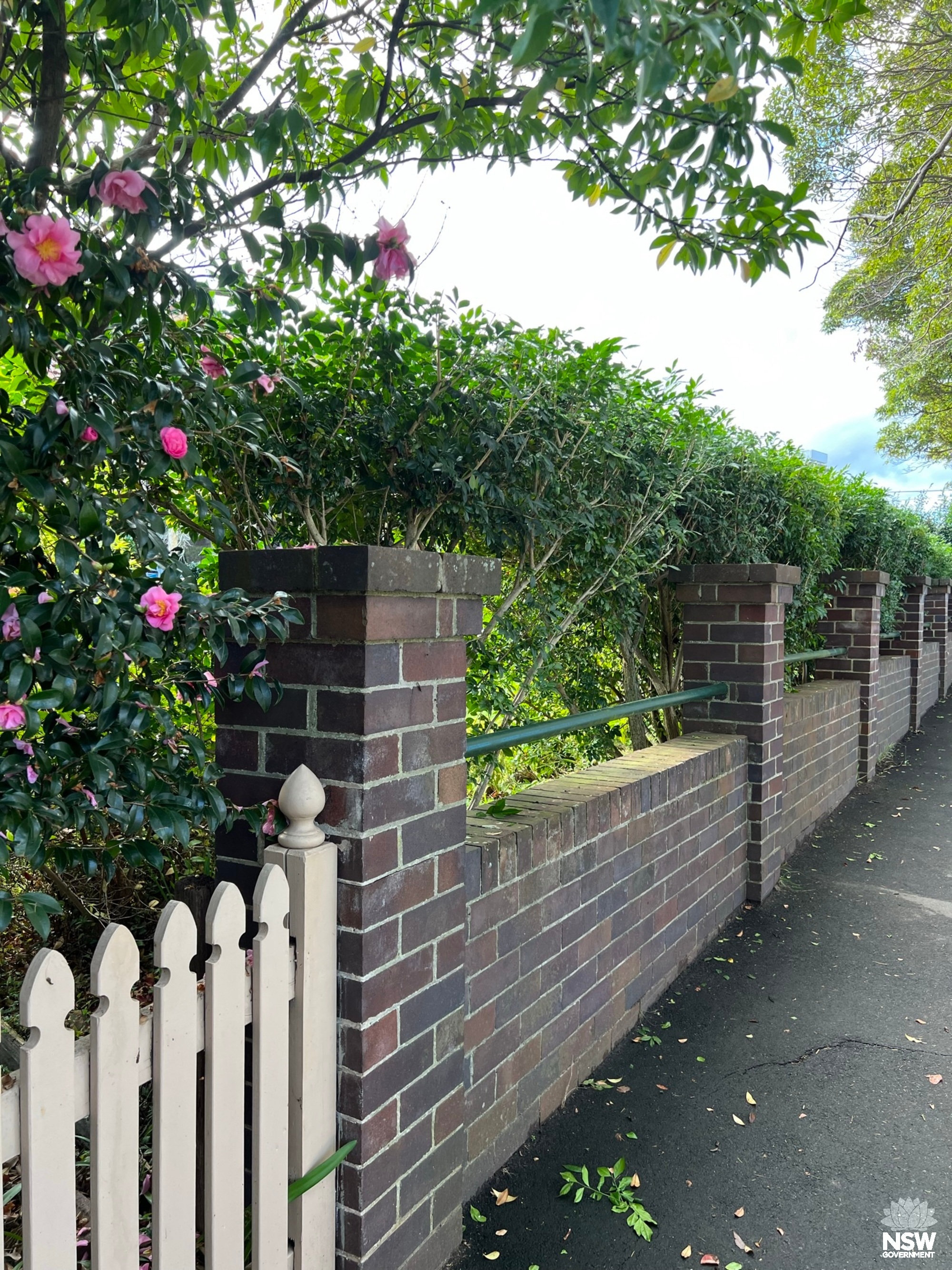 St Johns Avenue Street Fencing
