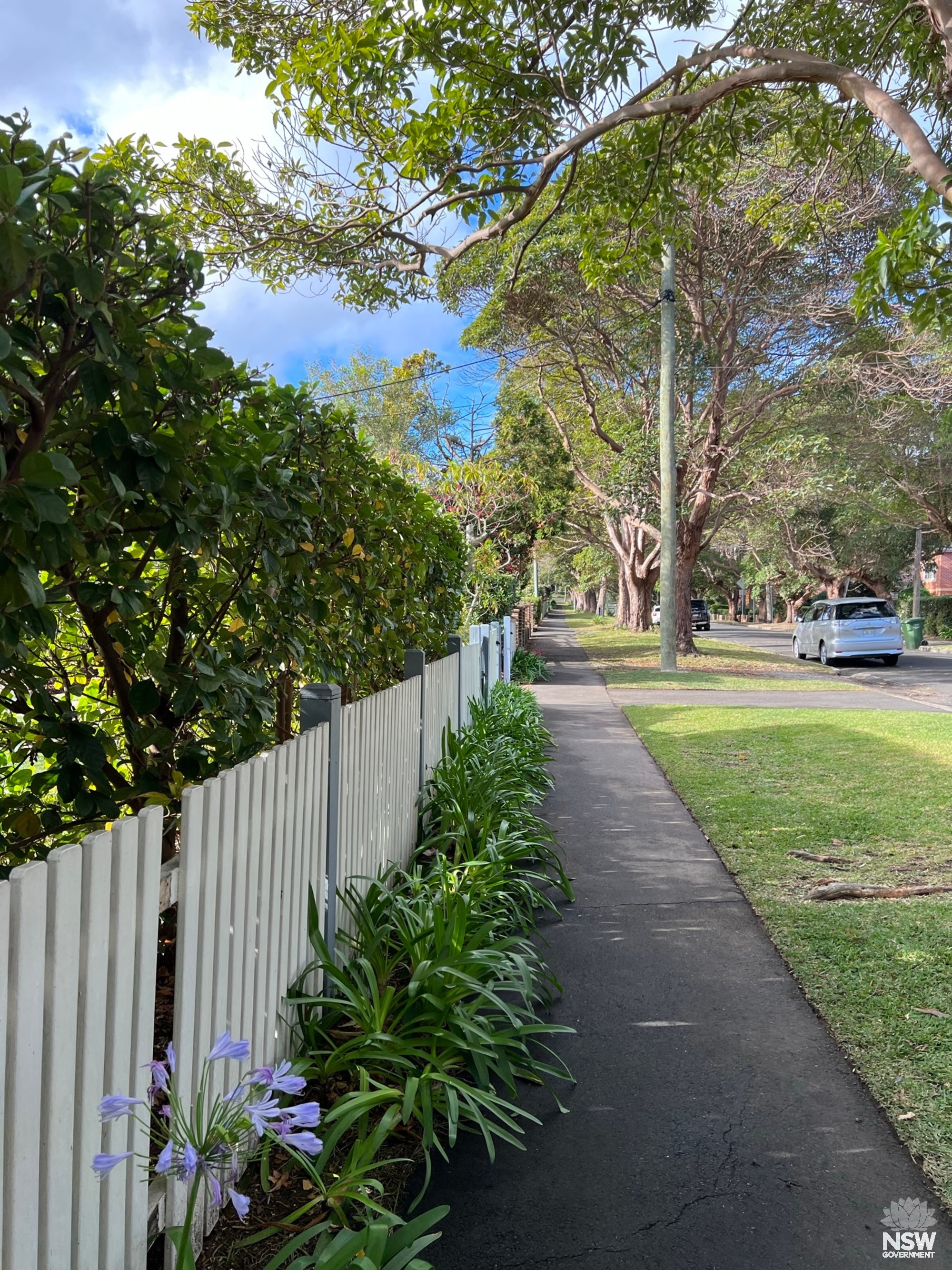 St Johns Avenue Street Fencing