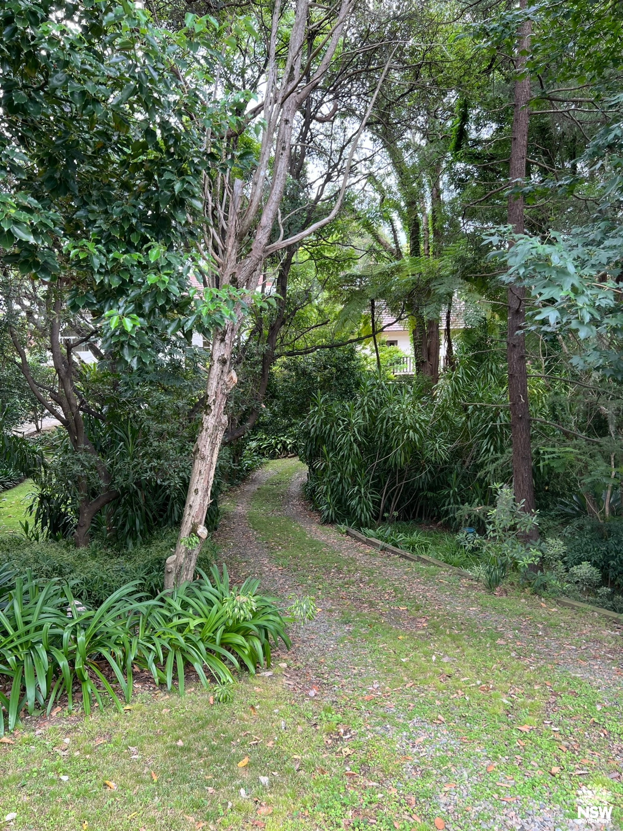 32 Middle Harbour Road driveway