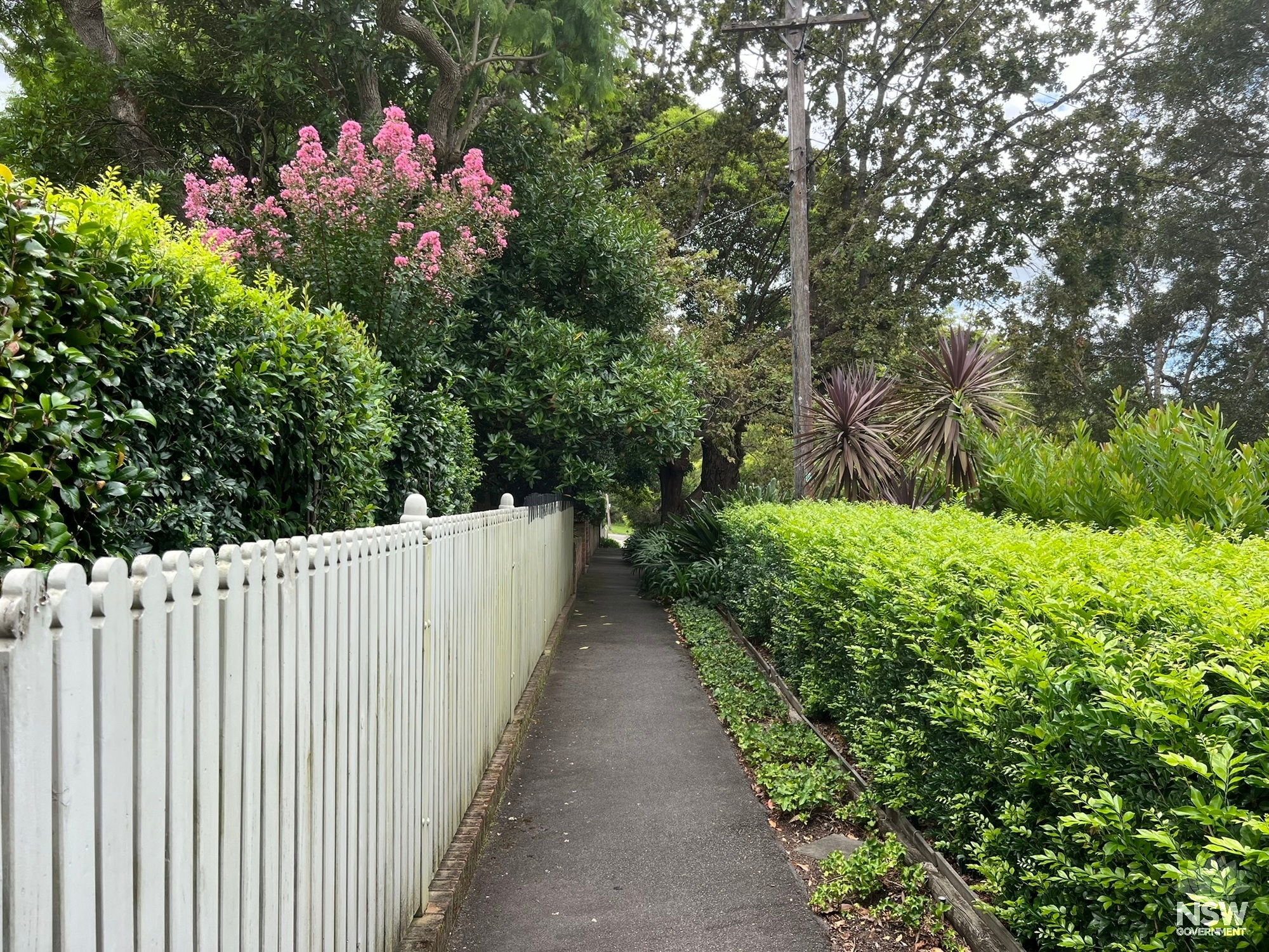 Valley Road footpath and street planting