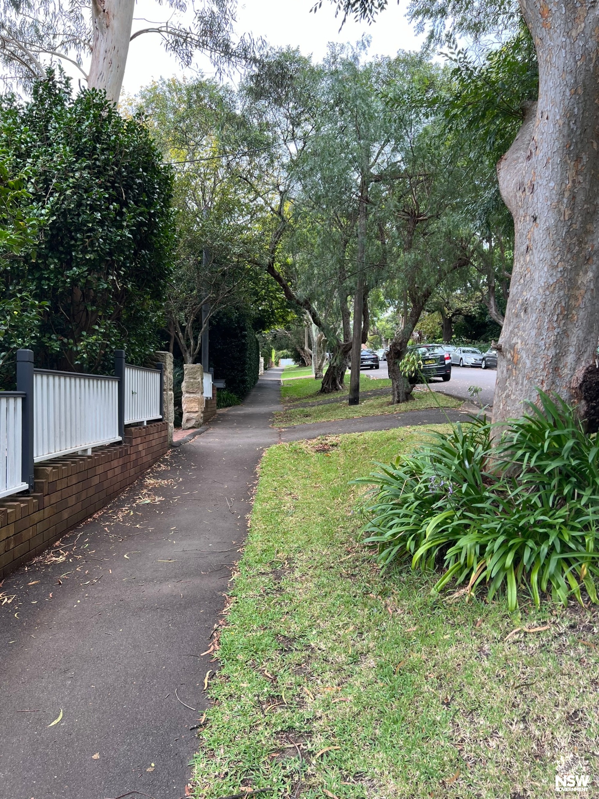 Valley Road footpath (2)
