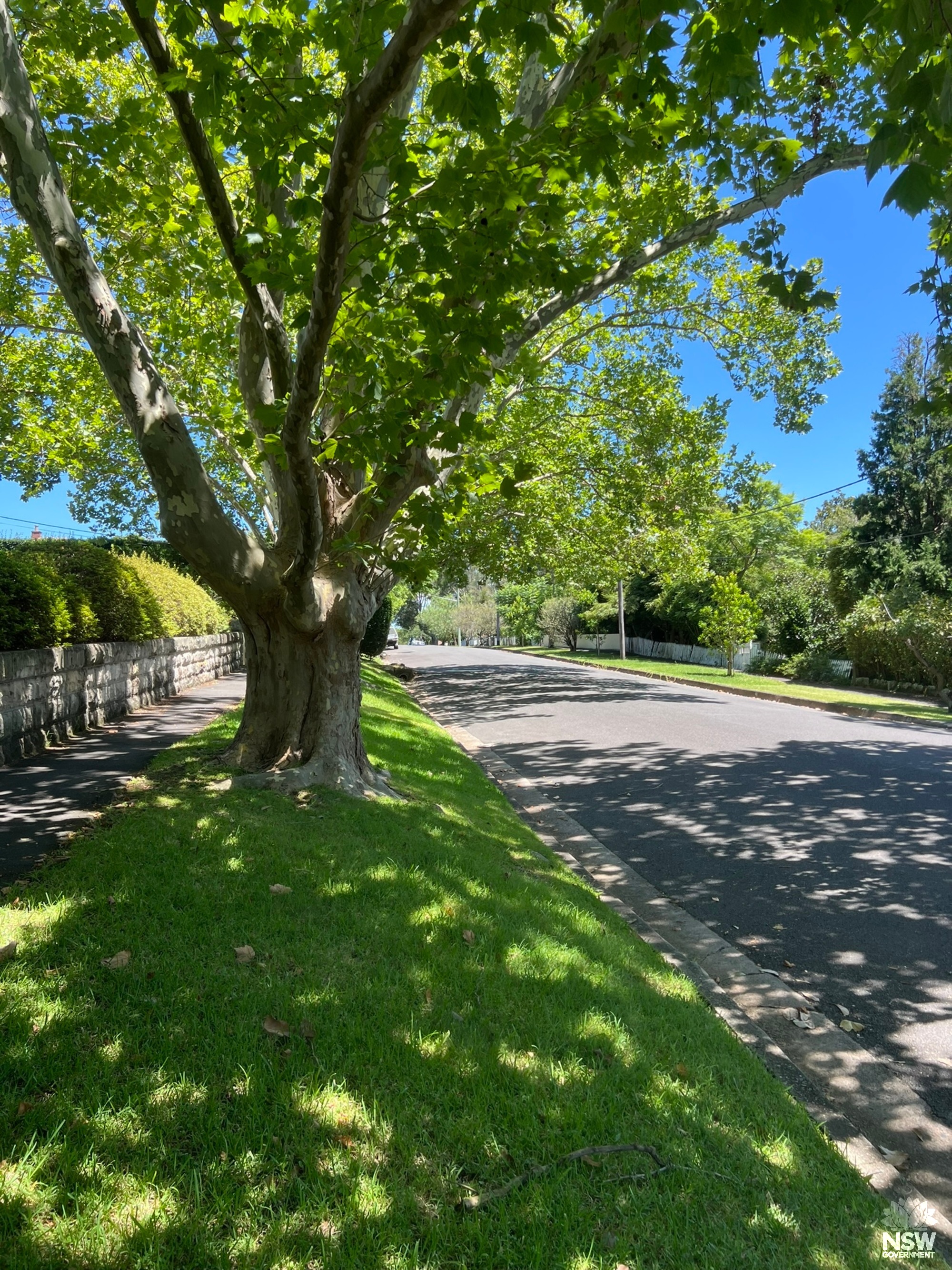 Greengate Road (3)
