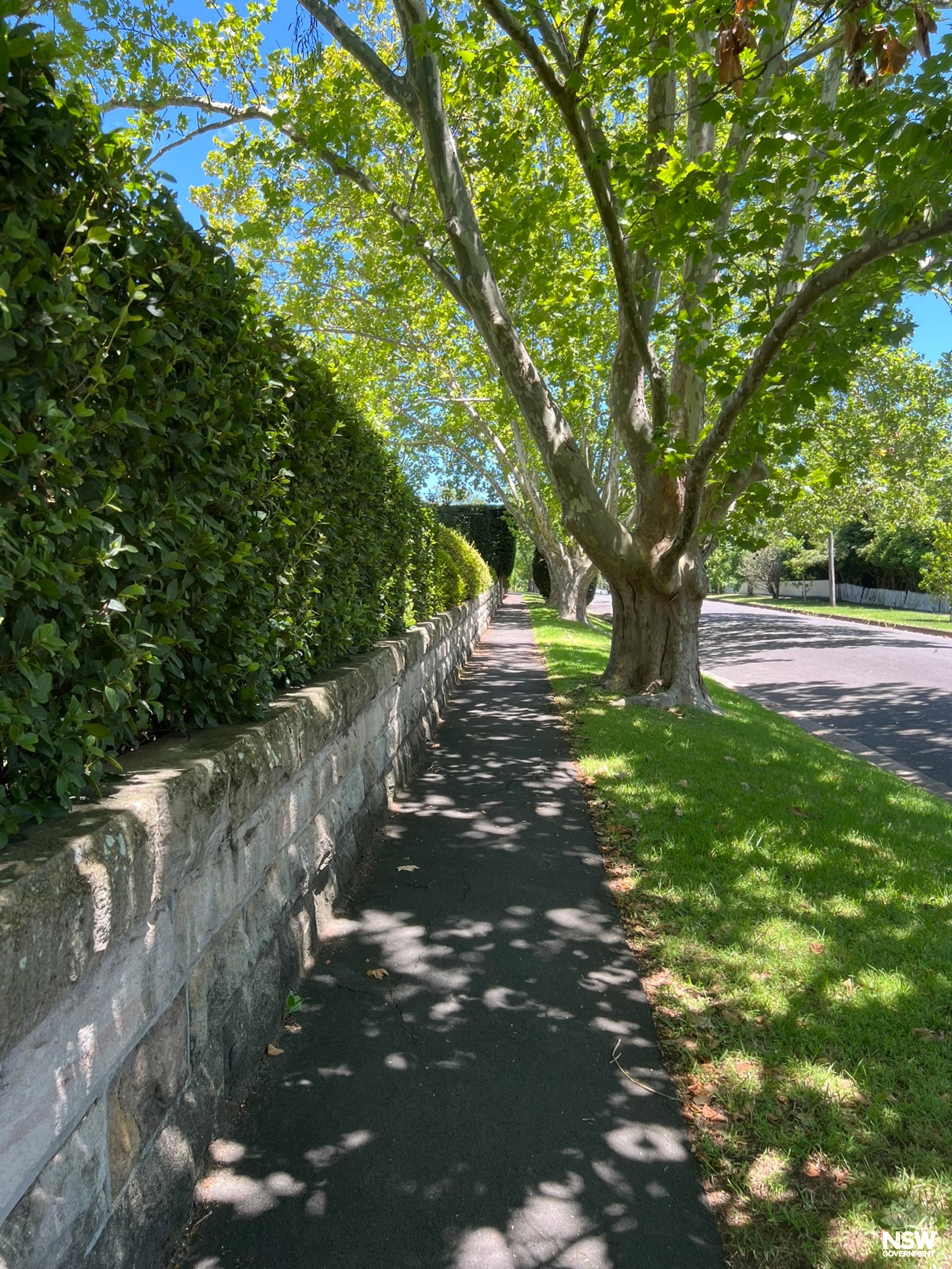 Greengate Road Fencing
