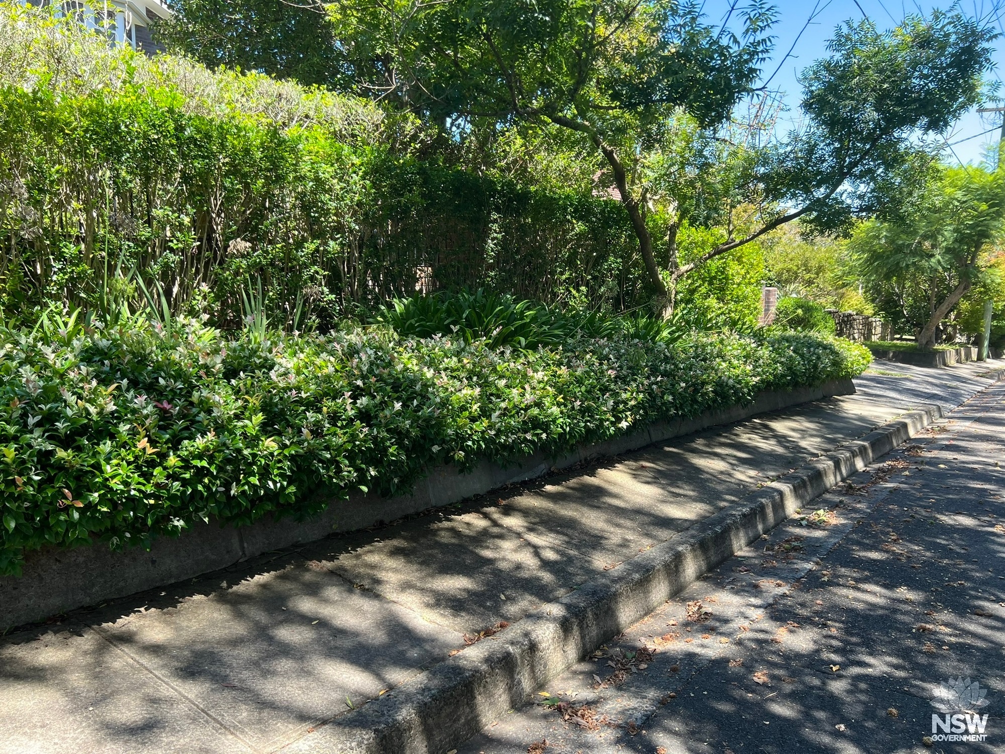 Elva Avenue (2)