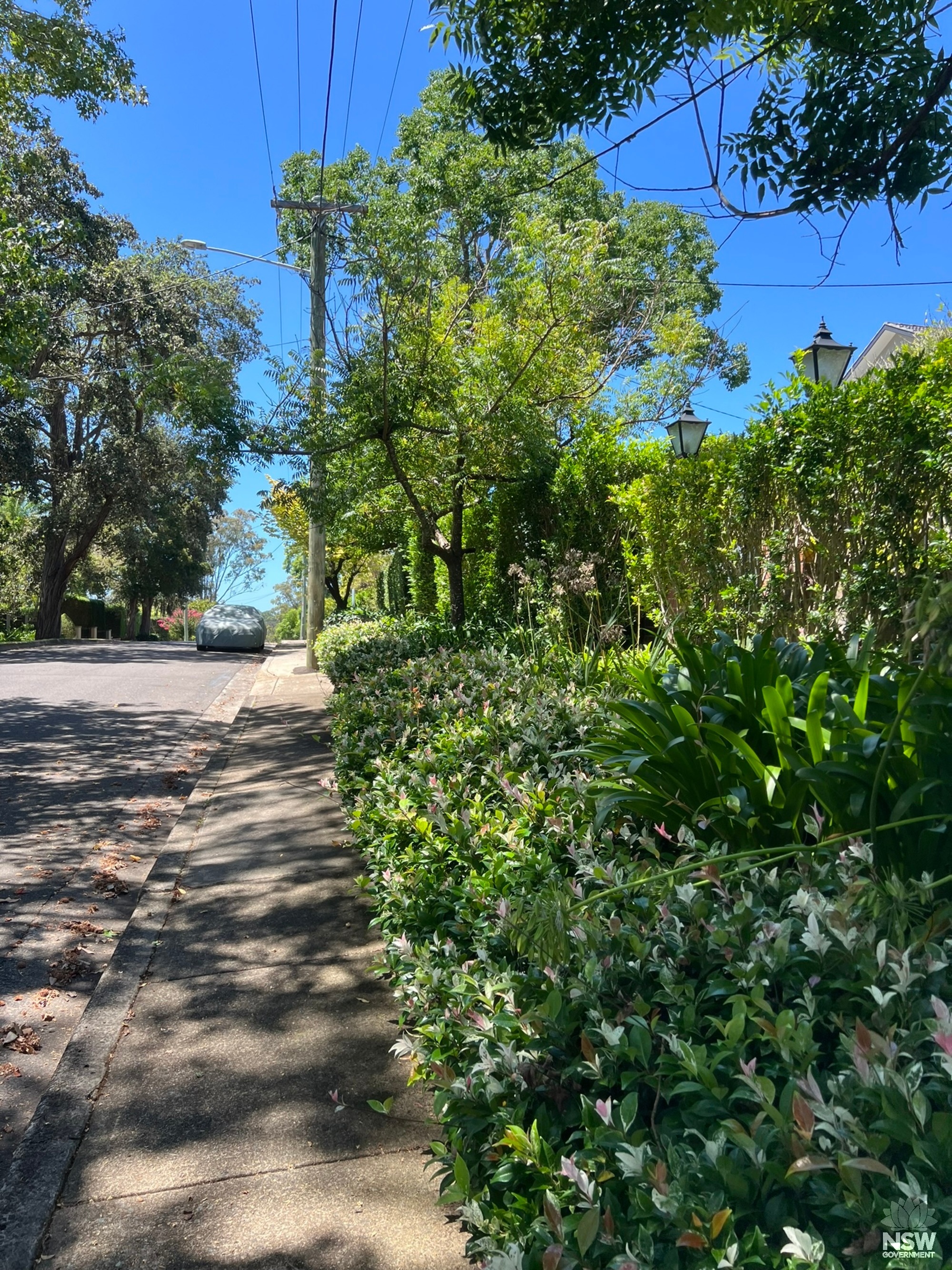 Elva Avenue Footpath