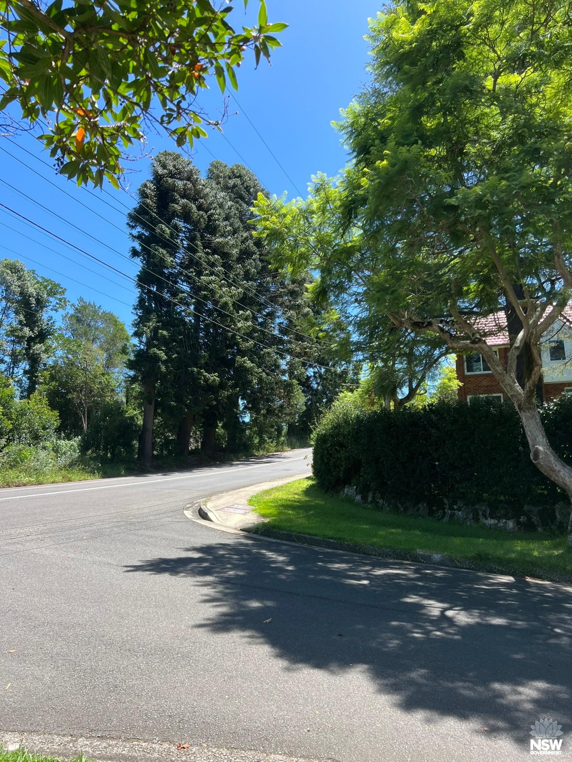Corner Elva Avenue and Werona Avenue facing north