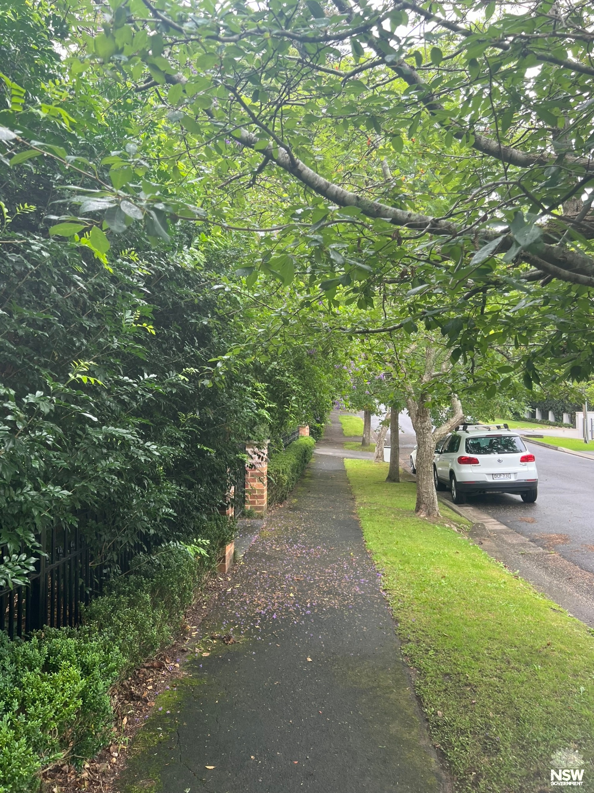 King Edward Street Footpath (2)