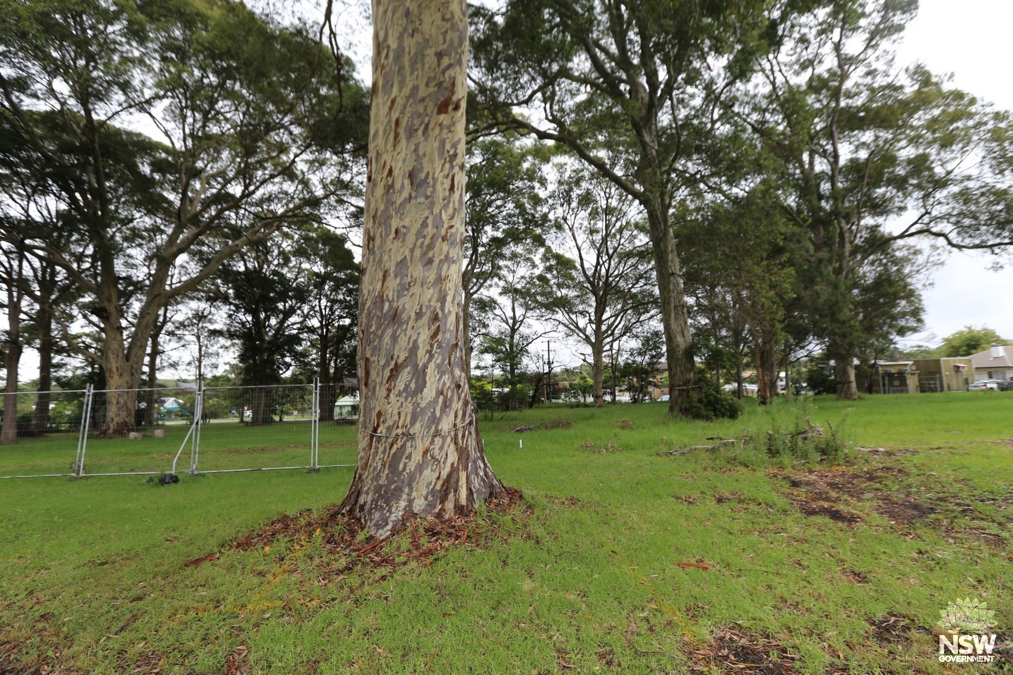View to Lot 8