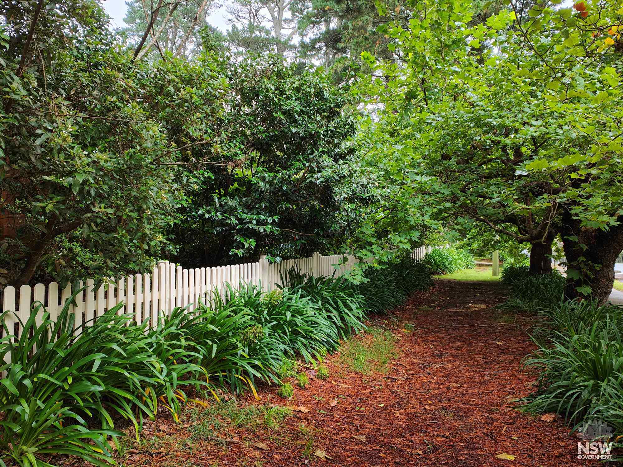 Trees and path rear of property Davisville
