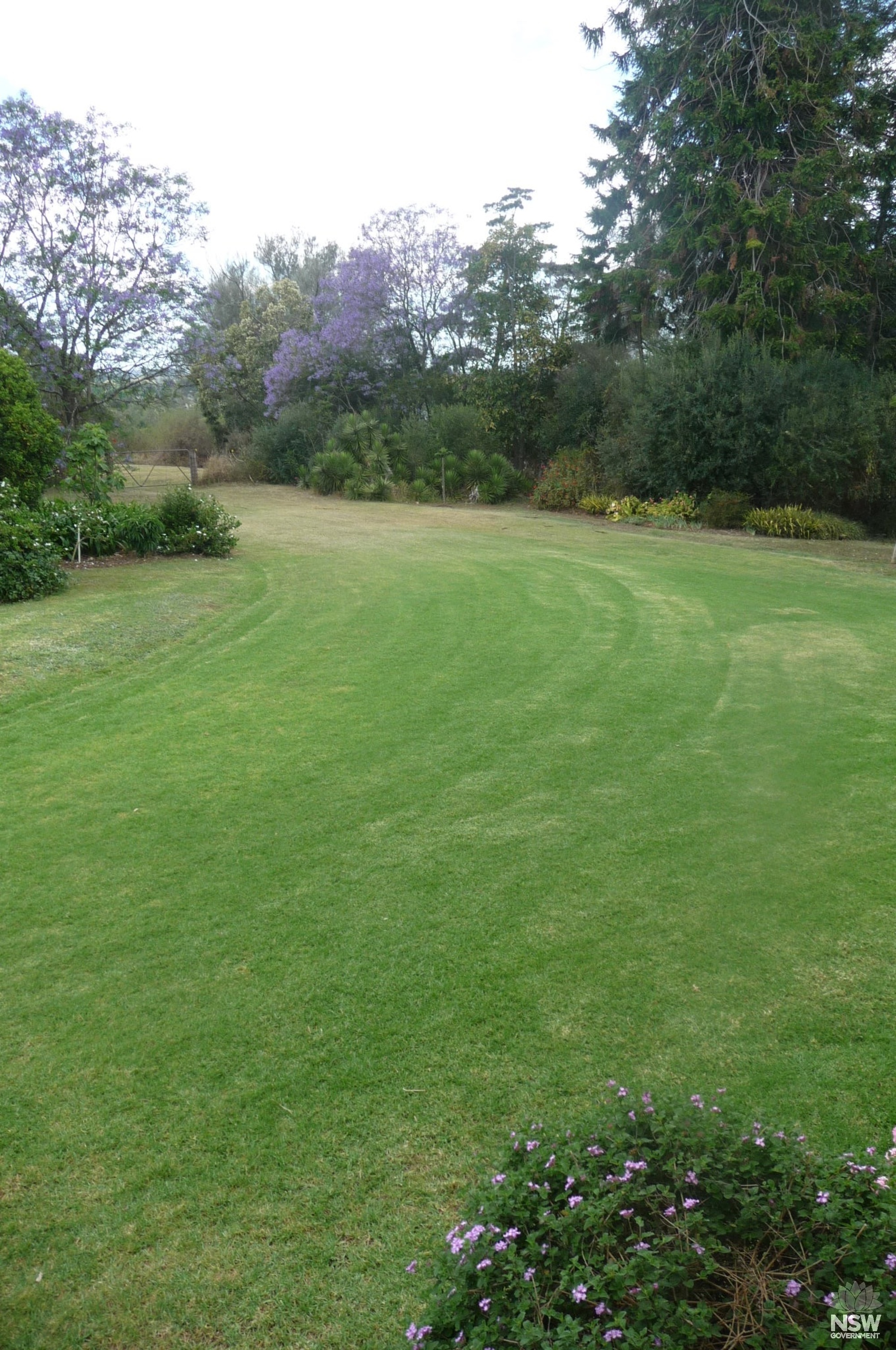 Horsley