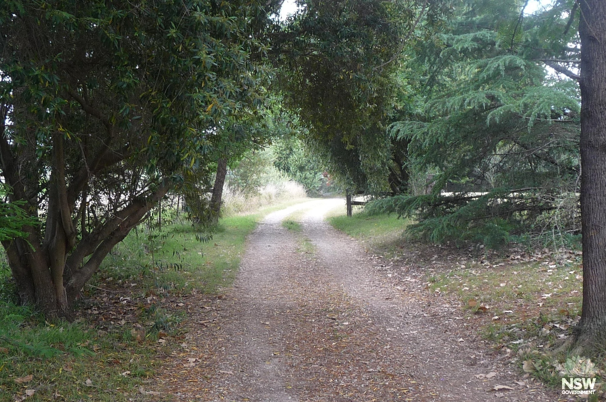 Horsley