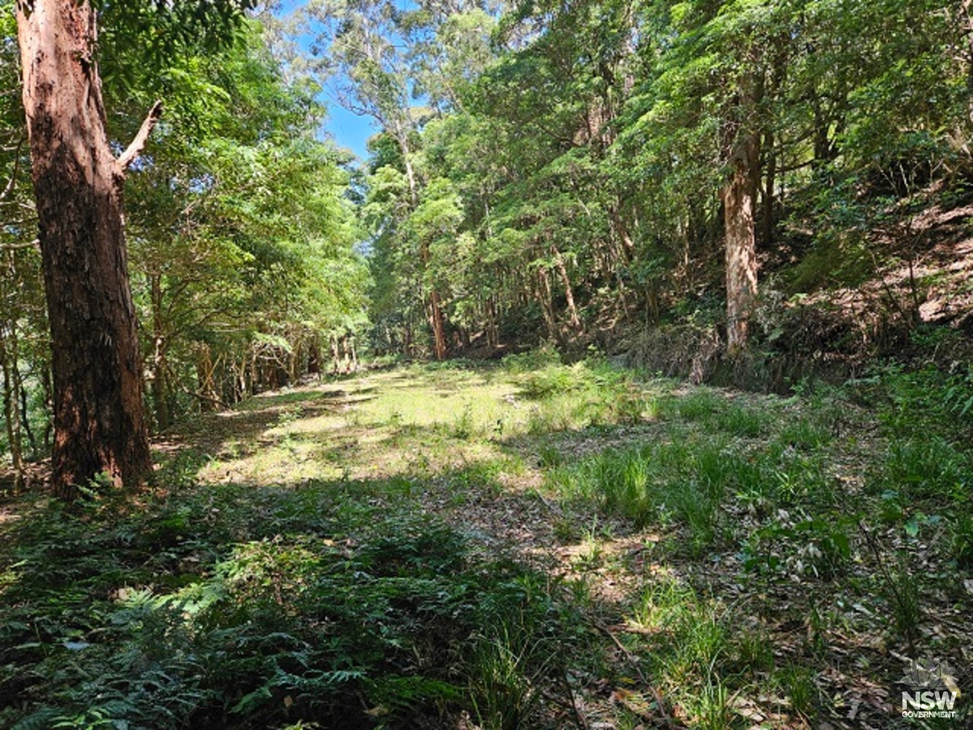 Building 4 - Bathhouse - Platform - looking southwest