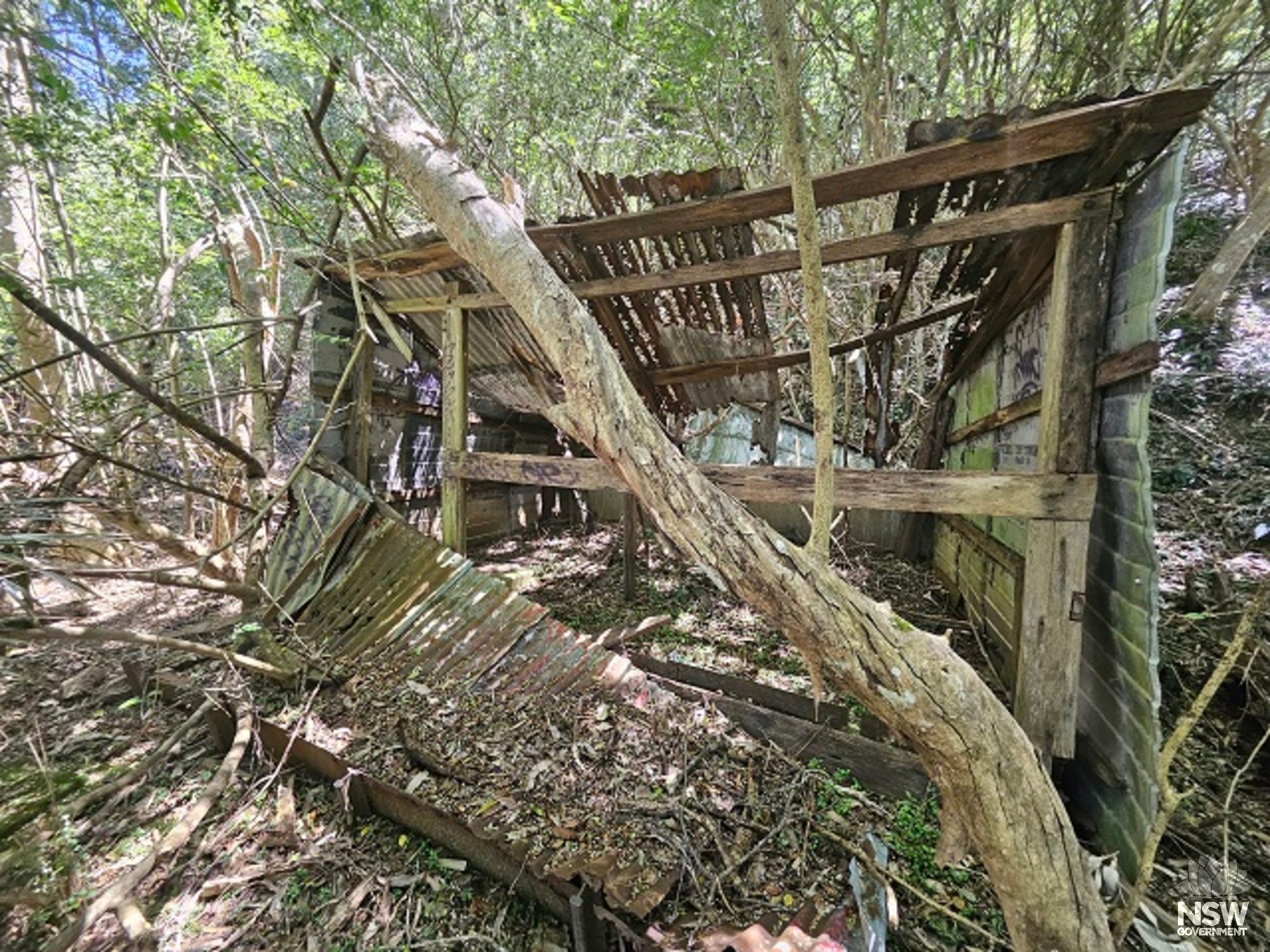 Building 2 - Shack 2 - Shed - southeast face