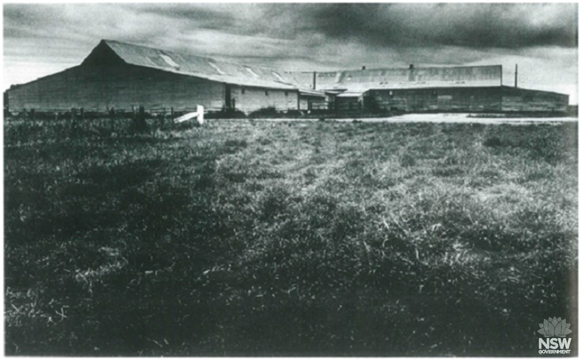 Toganmain Woolshed - Peter Freeman