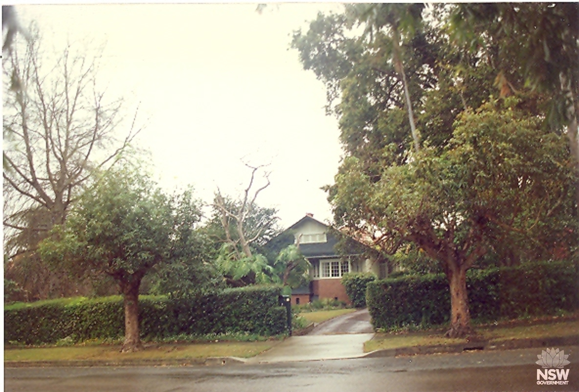 House and garden