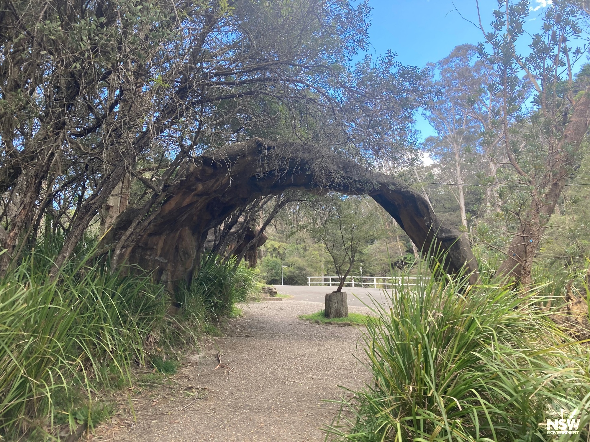 Rock archway at Leura Cascades Recreational Reserve
