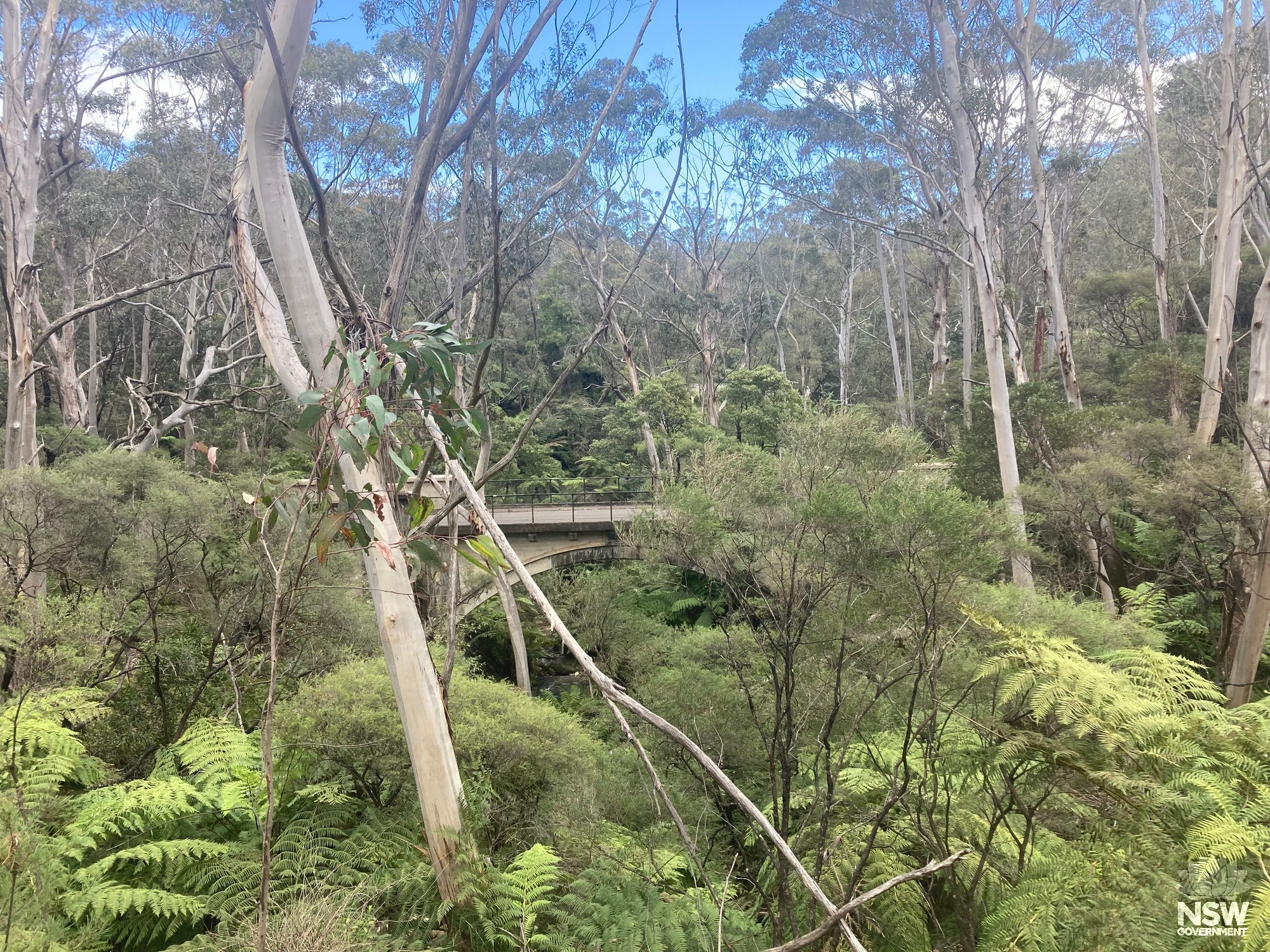 Chelmsford Bridge from Cliff Drive