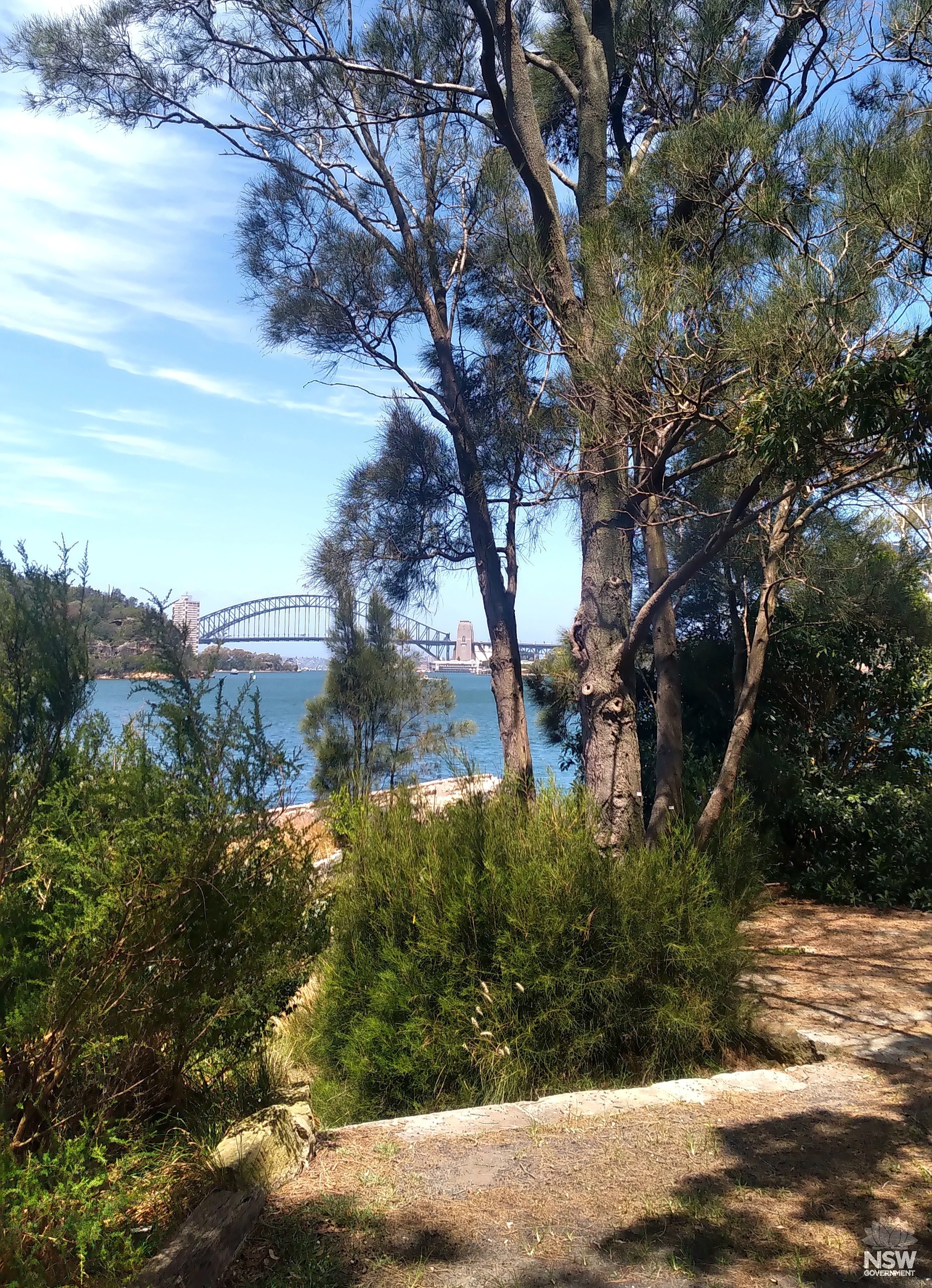 2024 12 23 - View E from C lawns Nn edge view pt