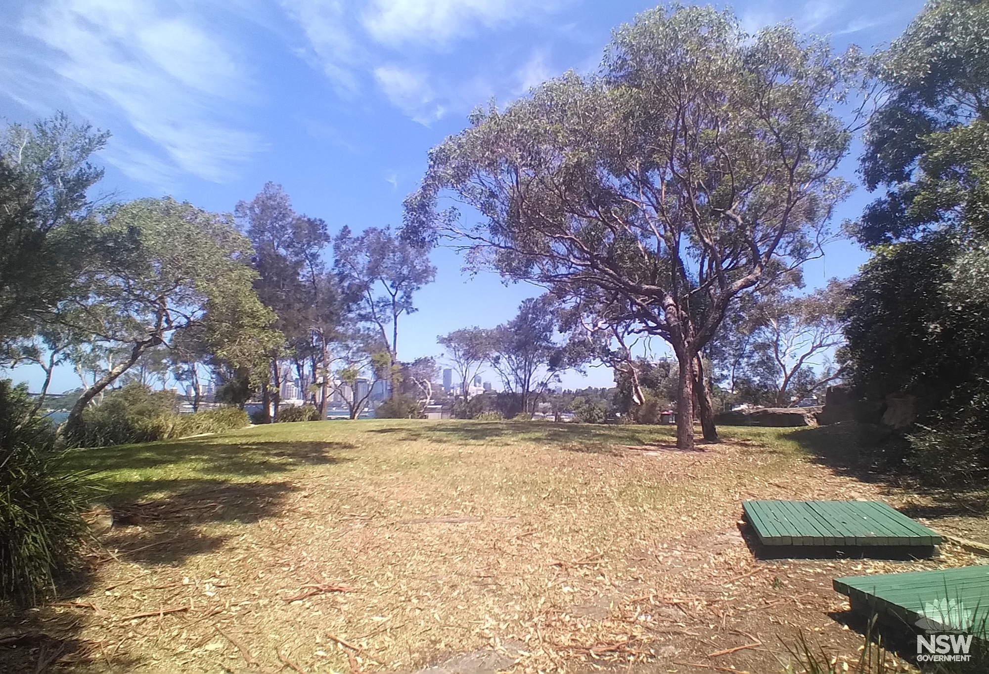 2024 12 23 - C lawn area wide view