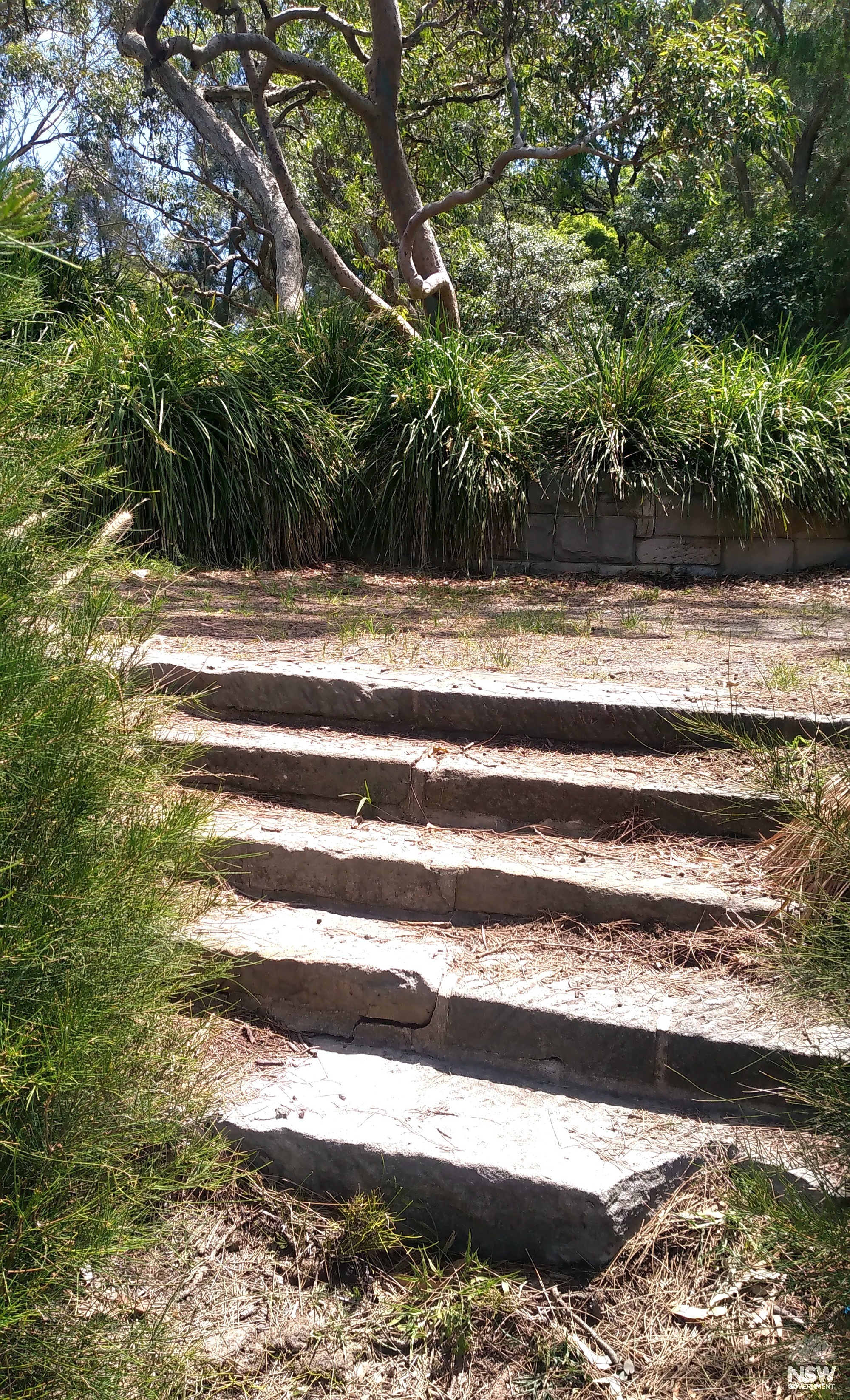 2024 12 23 - detail of steps to N