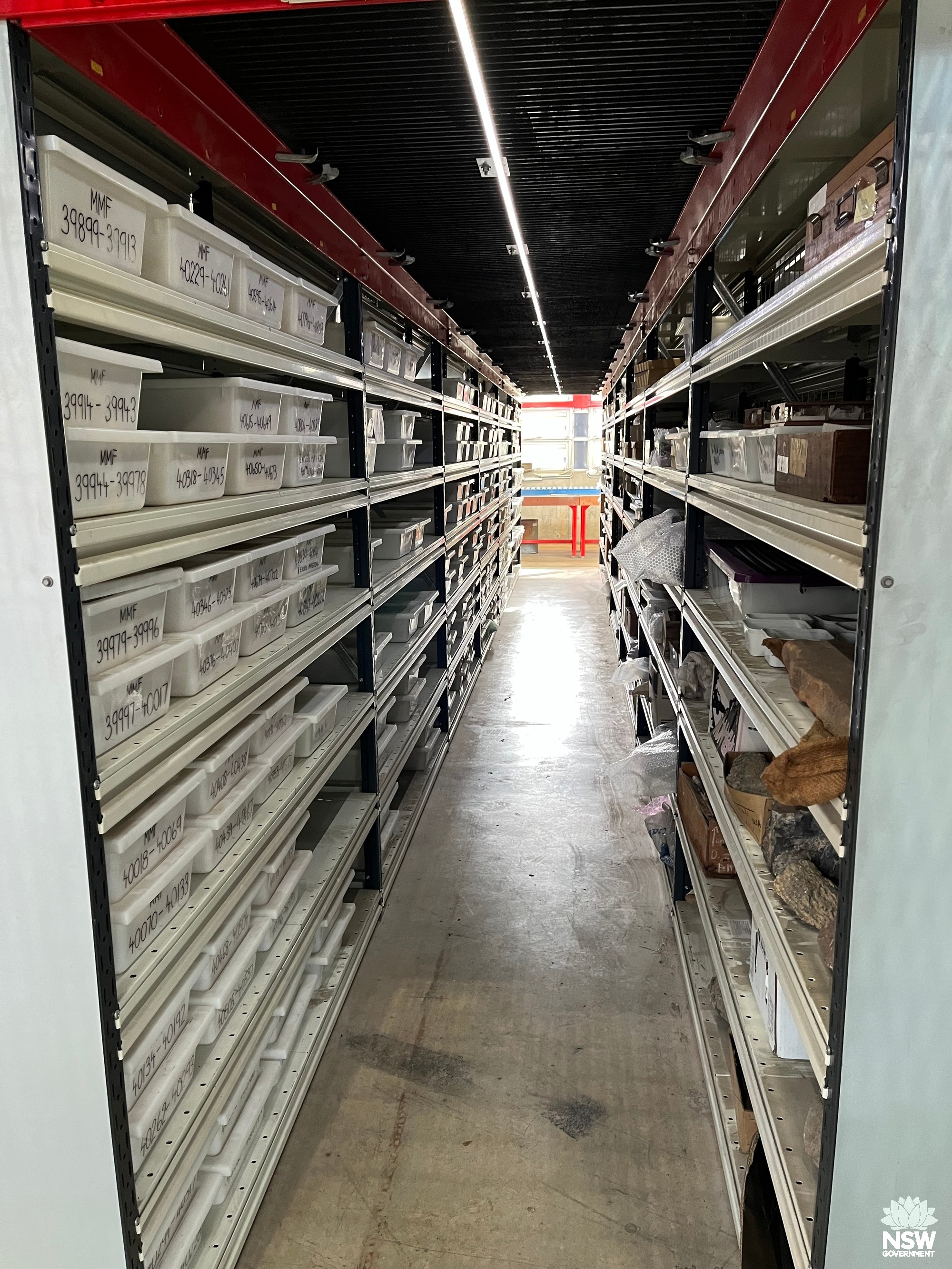 Macrofossil collection storage area - example of storage arrangement.
