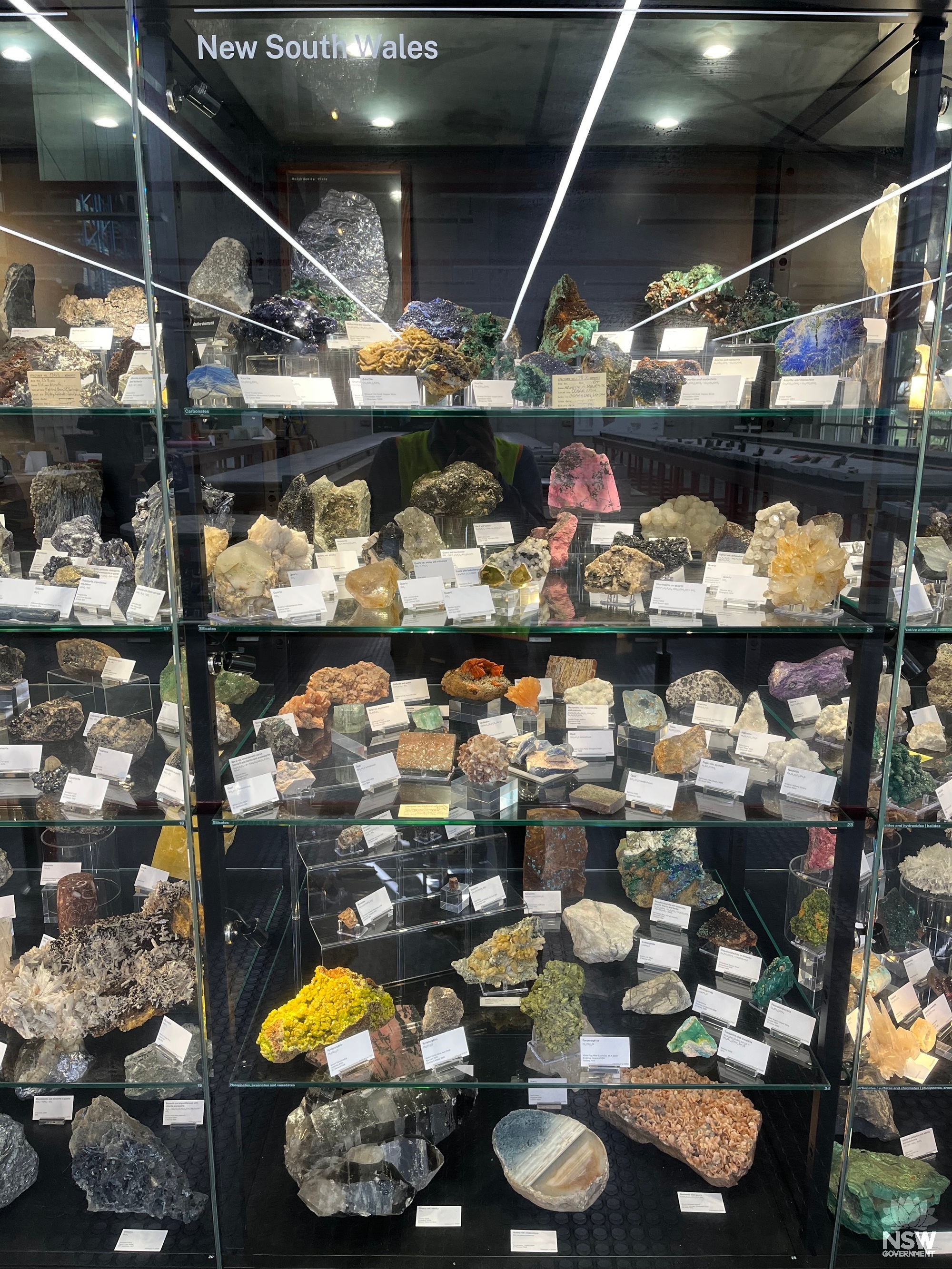 ERMC - Main Display - NSW Specimens.